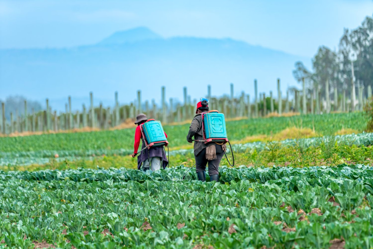 traitements agricoles anti nuisibles  au Benin